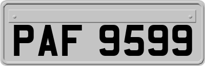 PAF9599