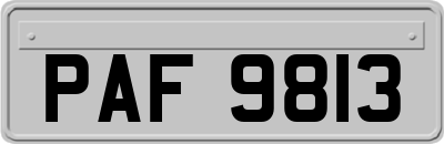 PAF9813