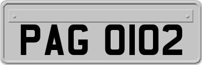 PAG0102