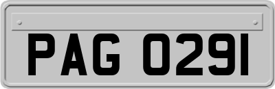 PAG0291