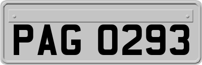 PAG0293