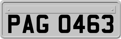 PAG0463