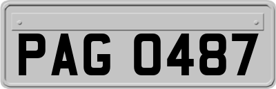 PAG0487
