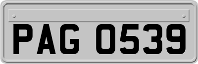 PAG0539