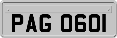 PAG0601