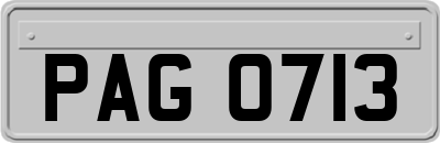 PAG0713