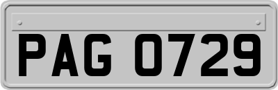 PAG0729