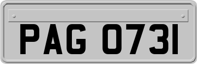 PAG0731