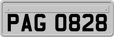PAG0828