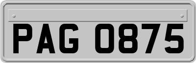 PAG0875