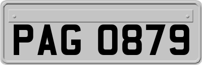 PAG0879
