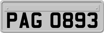 PAG0893