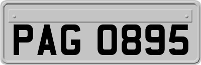 PAG0895