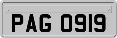 PAG0919
