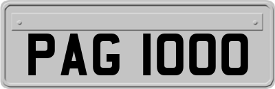 PAG1000