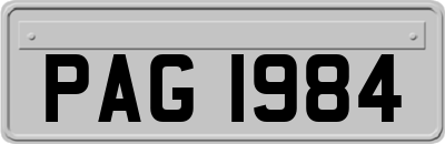 PAG1984