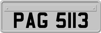 PAG5113