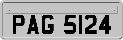 PAG5124