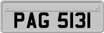 PAG5131