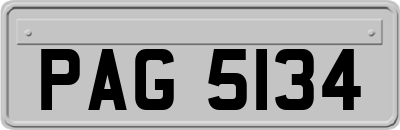 PAG5134