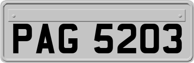 PAG5203