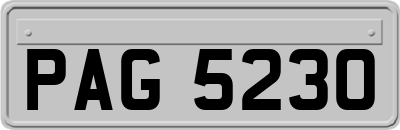 PAG5230