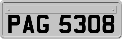 PAG5308