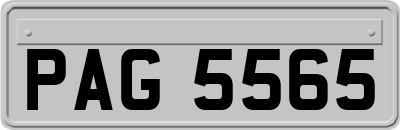 PAG5565