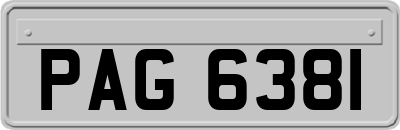 PAG6381