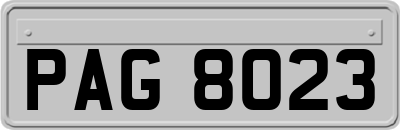 PAG8023