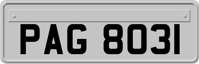 PAG8031
