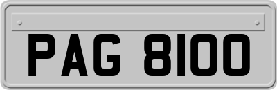 PAG8100