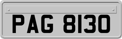 PAG8130