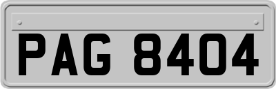 PAG8404