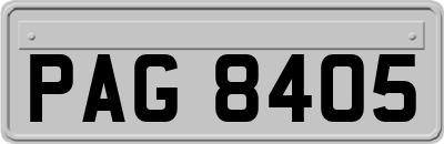 PAG8405