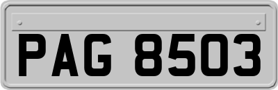 PAG8503