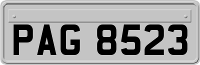PAG8523