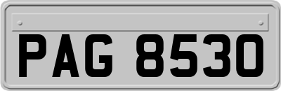 PAG8530