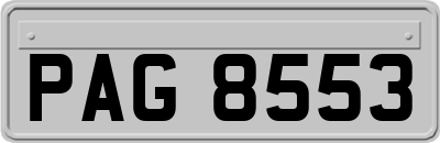 PAG8553