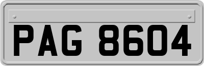 PAG8604