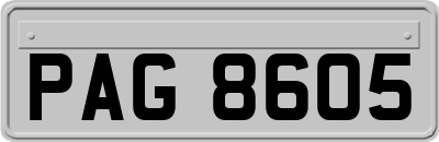 PAG8605