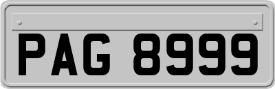 PAG8999