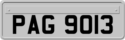 PAG9013