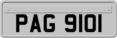 PAG9101
