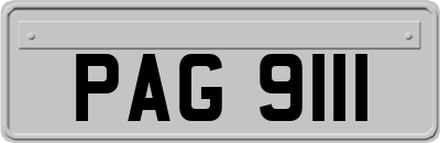 PAG9111