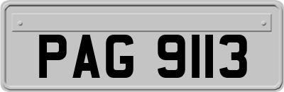 PAG9113