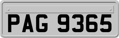 PAG9365