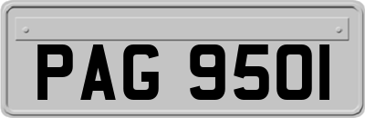PAG9501