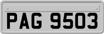 PAG9503