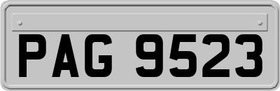 PAG9523